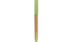 Pluma.png